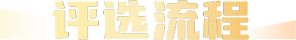 评选流程