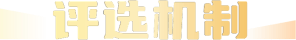 评选机制